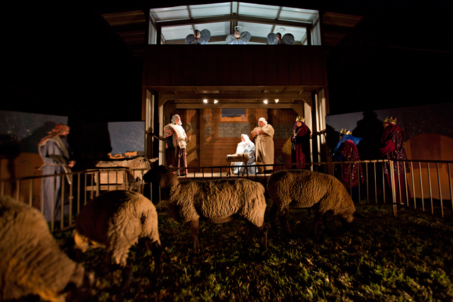 From left, Shepards played by Philip Bates and Ashlee Bates; Mary and Joseph played by Tina Duckett, and Rev. Randy Duckett; Wisemen played by, Debbie McReynolds, Kathy Craighead, and Wayne Craighead; top from left, Angels played by Paula Cass, Bill Cass, and Bailey Duckett, 12, stand silently as a reading of the Christmas Story is played on a speakers outside Second Baptist Church. Albert Cesare|Odessa American